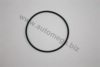 GM 09158173 Gasket, water pump
